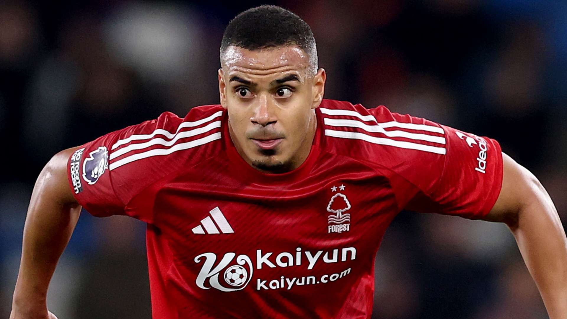 望在下一轮 望在下一轮