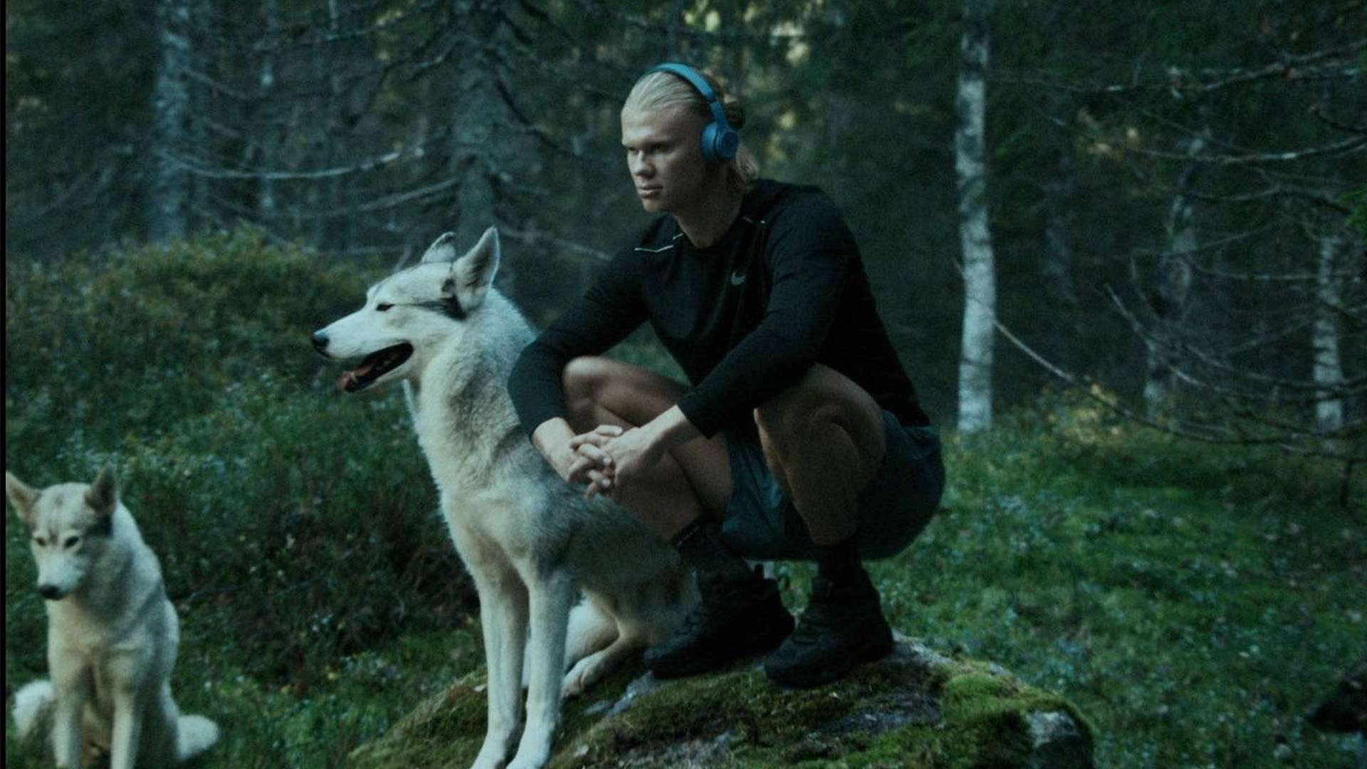 團隊的戰術 團隊的戰術