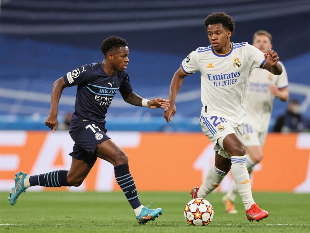 在线平台的 在线平台的